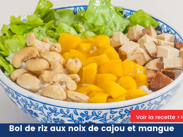Bol de riz aux noix de cajou et mangue